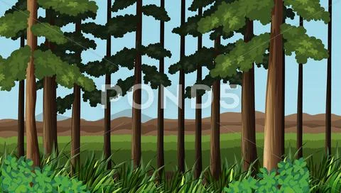 Forest scene with trees and field Stock Illustration