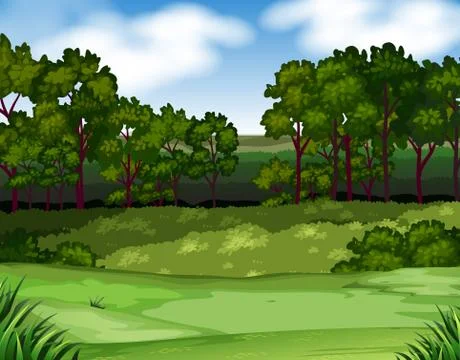 Forest scene with trees and field Illustration