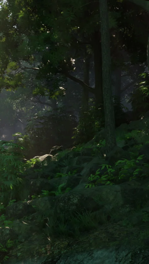Forest scene with trees and plants in morning light during spring time Stock Footage 340650393