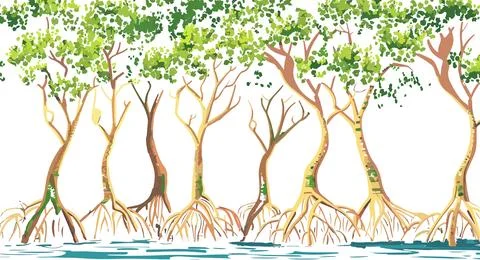 A forest scene with trees and roots Stock Illustration