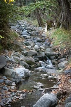Forest scenery in autumn 写真素材