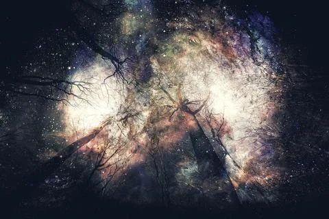 Forest scenery, beech trees after a frost in cosmic space. Stock Illustration