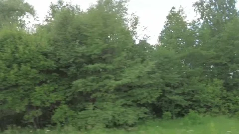 Forest scenery motion view from window of car while driving. Stock Footage 157834800