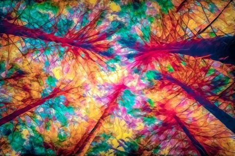 Forest scenery of spruce trees, view from below. Painting effect. Illustrazione stock