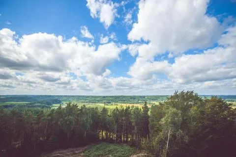 Forest scenery with white clouds Stock Photos