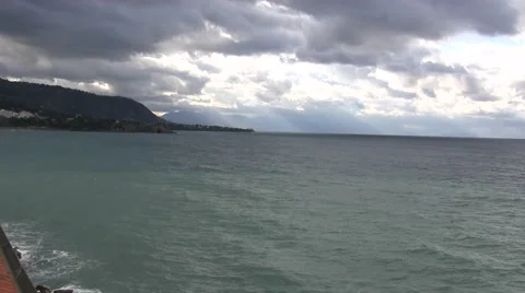 Forest on the sea Stock Footage 47567807