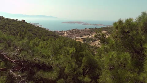 From the forest to the sea Vídeo Stock 247321245