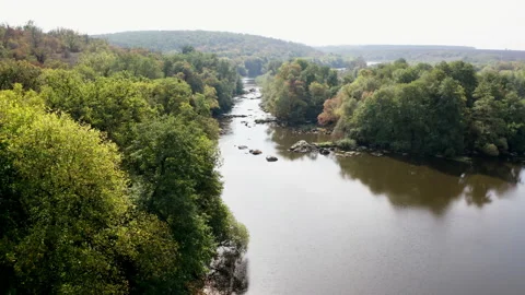 Forest seamless pattern. View from above. Stock Footage 140498434