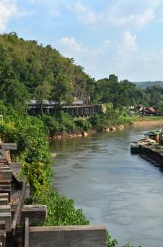 Forest seamless pattern - view from above. Stock Photos