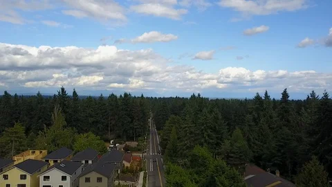 Forest Seattle Stock Footage 92493803