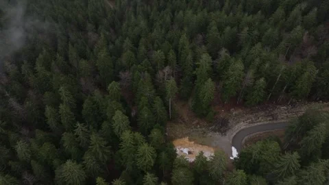 Forest Seen By Drone In The Mountains Video stock 246738685