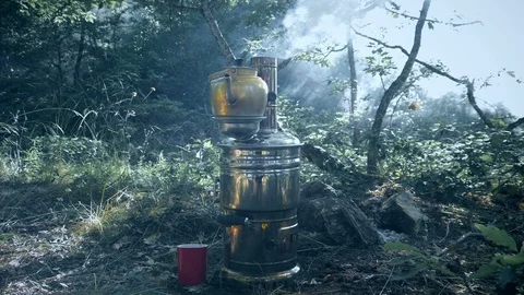 Forest in semovar 4K Stock Footage 112265814