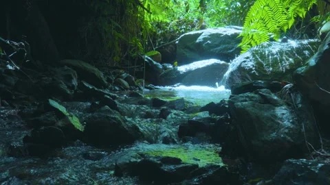 Forest Serenity: A Stream Flowing Over Rocks in the Shadows Stock Footage 285699973