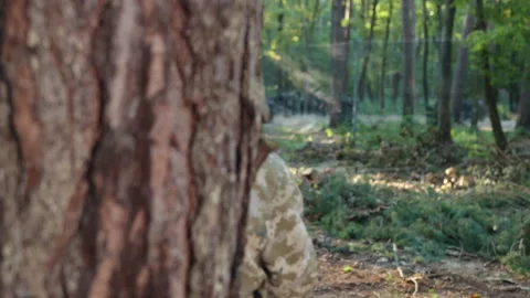 Forest setting, laser precision, camouflage shooter 스톡 동영상 266281203