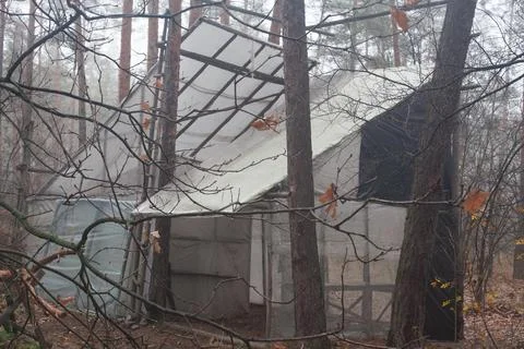 Forest shack Stock Photos