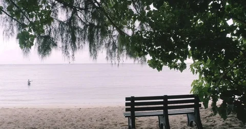 Forest Shade to Open Sea 库存影片 114112831