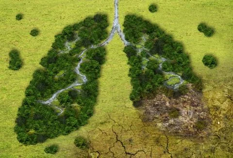 Forest in a shape of lungs - deforestation and global warming concept Stockfoto's
