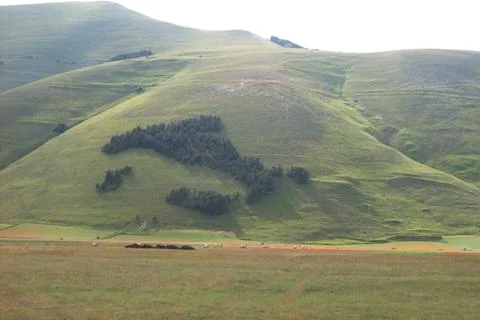 Forest-Shaped Hill Overlooking a Tranquil Valley Stock Photos