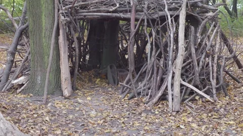 Forest shelter constructed from branches, with a stump inside acting as a t.. Video stock 292563778