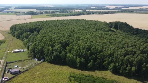 Forest shooting from the air Video stock 225327882