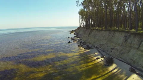 Forest on the shore. Panoramic. Stock Footage 49164232