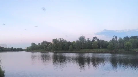 Forest on the shore of pond in evening timelapse Stockbeeldmateriaal 77284642