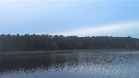 Forest on the shore of the pond in evening timelapse Vídeo Stock 77284670
