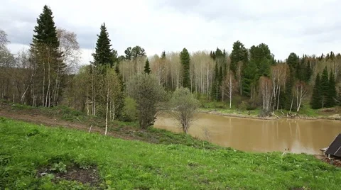 Forest in Siberia Stock Footage 43749739