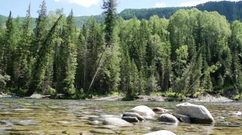 Forest Siberian mountain clean river. Siberia. Khakassia. Stock Footage 52626612