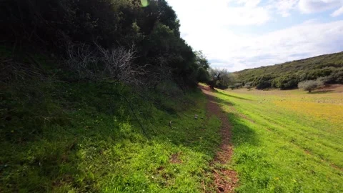 Forest-Side Trail in a Mediterranean Valley Perfect for Outdoor Activities Stock Footage 303487825