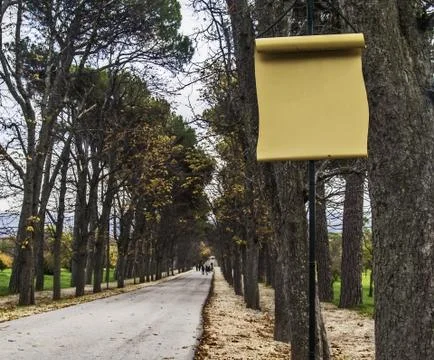 Forest sign on blank Stock Photos