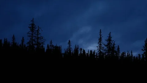 Forest Silhouette against Dark Clouds Moving in the Wind Stock Footage 97183184