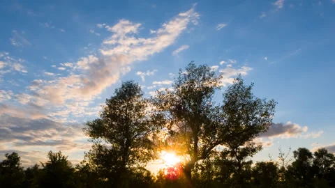 Forest silhouette at the dramatic sunset time lapse scene Stock Footage 160536292