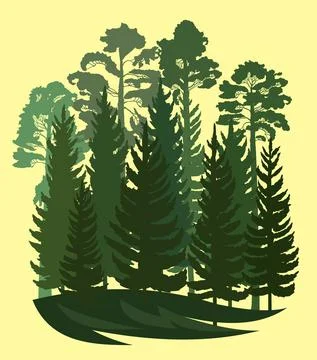 Forest Silhouette. Landscape with coniferous trees. Beautiful view. Pine and Stock Illustration