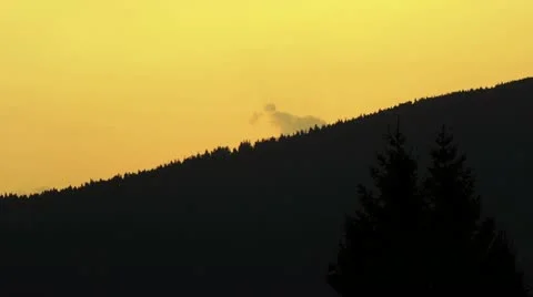 Forest silhouette at sunset Stock Footage