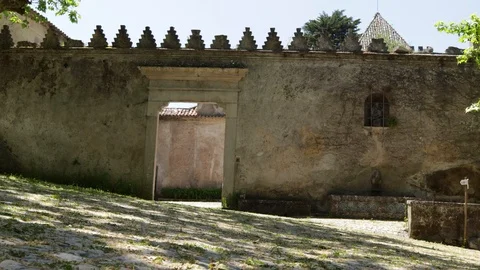 Forest in Sintra Stock Footage 90900328