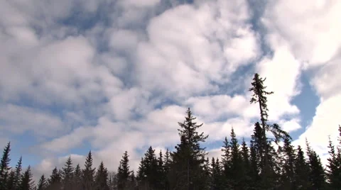 Forest Sky Cloud time lapse 30p Stock Footage 1780421