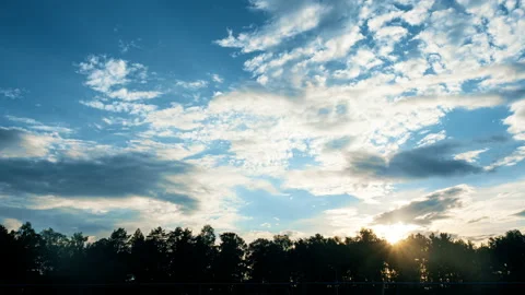 Forest, sky with clouds at sunset, time lapse Stock Footage 111641222