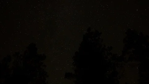  Forest Sky Night TimeLapse Video stock 92095379