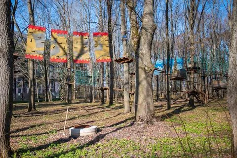 A forest with sky park Stock Photos