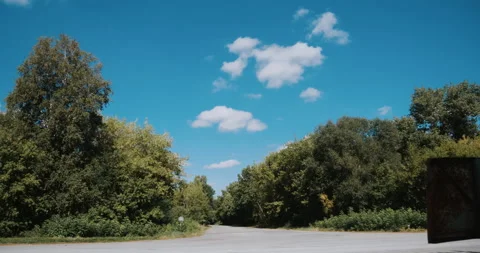 Forest sky view Stock Footage 138994943