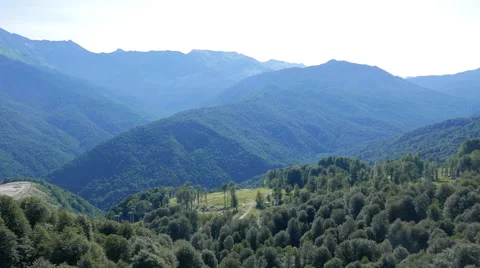 Forest on the slopes mountains around the Olympic Village. Russia, Sochi. 4K 스톡 동영상 52775308
