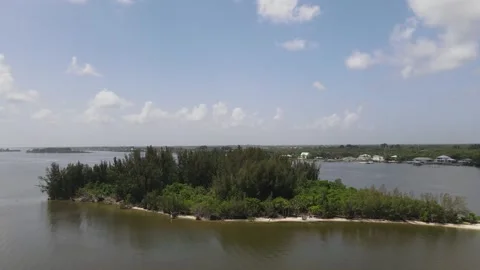 Forest on small Island Video stock 247078906