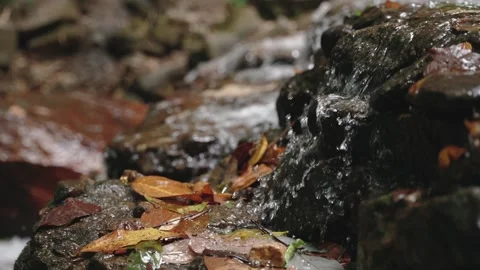 Forest small river stream closeup with fresh water drops splashing over rocks 스톡 동영상 309273277
