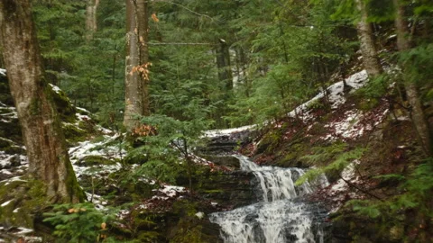 Forest small waterfall at early spring day. Calm natural wonder Stock Footage 326441443