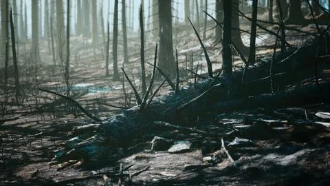 Forest with smoke arter fire Stock Illustration