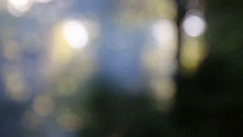 Forest smoke 库存影片 93355734