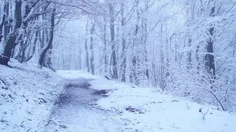 Forest snow-covered road in the forest, snow falling, camera panning, shot .. Stock Footage 300285864