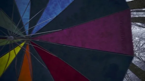 Forest with snow covered trees Stock Footage 77541897