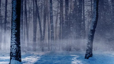 Forest in the Snow at Dusk Background 4K Stock Footage 165136073